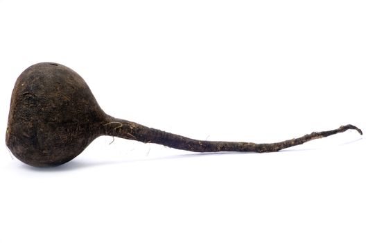 black radish isolated on white background