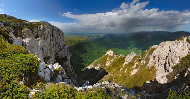 Exotic summer landscape before the rain