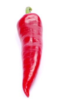 red hot chili pepper on white