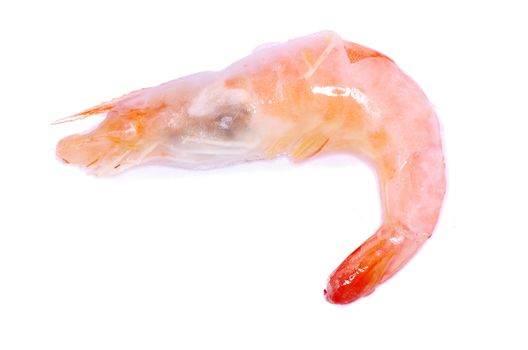 shrimp isolated on a white background