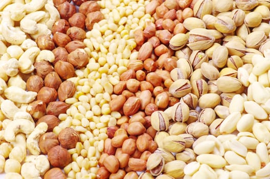 mixed nuts on a background