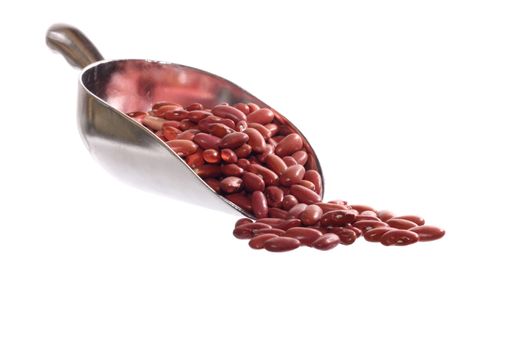 Shovel of beans isolated on a white background