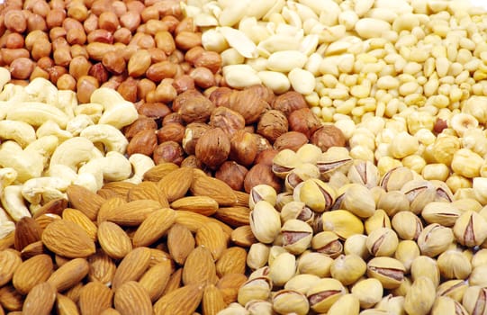 various nuts on a background