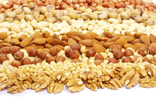 various nuts on a background