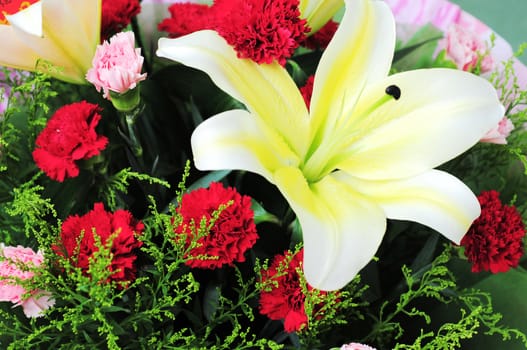 Yellow lily flower and red carnation flowers