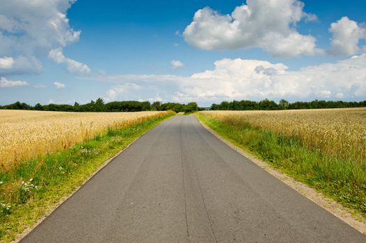 A road with cornfields on either side. Idyllic landscape