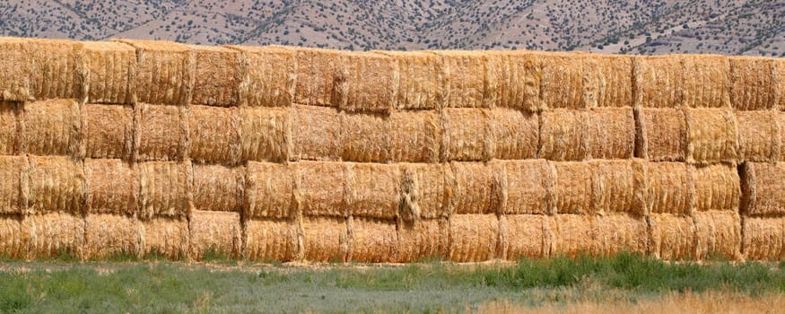 Bales of hay piled high in the farmlands of Idaho.