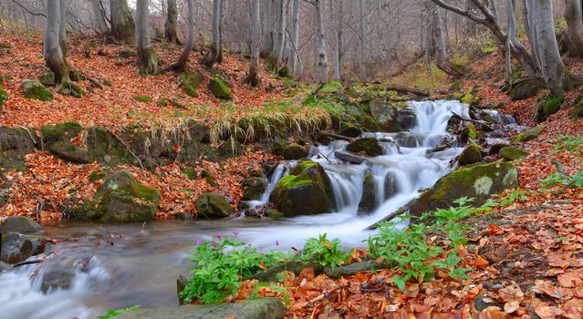 Beautiful autumn landscape with a river