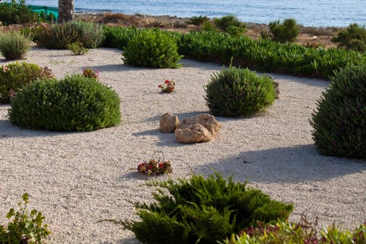 Picture a small park and the rocks and bushes