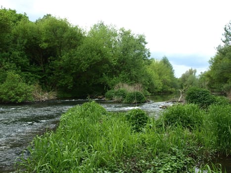 River near the forest at spring