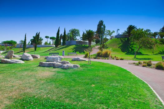 A city park with trees