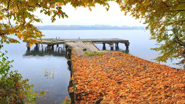 autumn on the quay