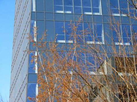 The Business center building of concrete and glass