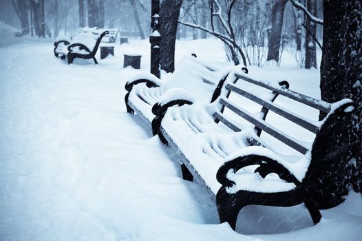 snow covered benches in the winter park