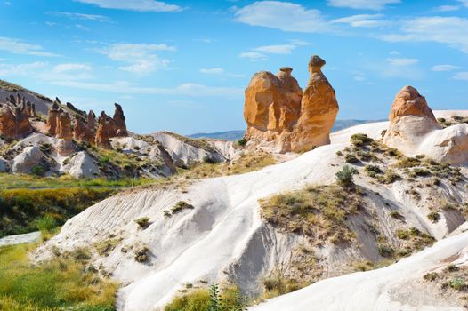 Sandstone rock similar to camel in the Cappadocia, Turkey
