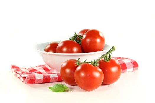 fresh red tomatoes in a white bowl