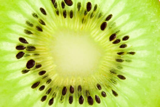 kiwi fruit isolated on white background