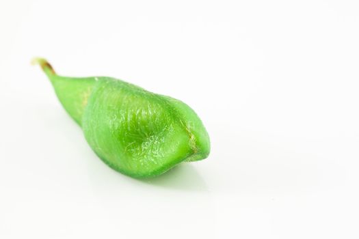 Soybean isolated on white background