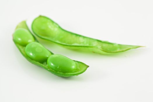 Soybean isolated on white background