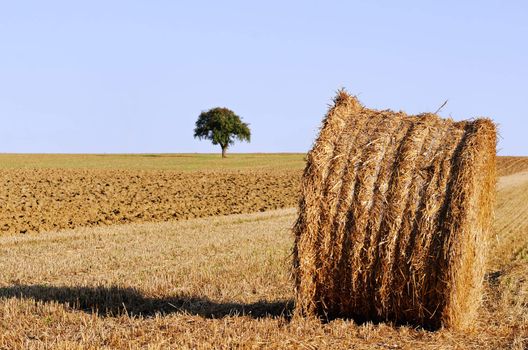 a rural landscape