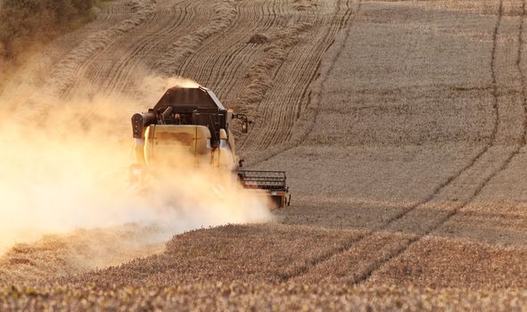 a combine harvester at work