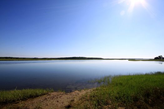 Marsh land in Scarborough Maine at high tide