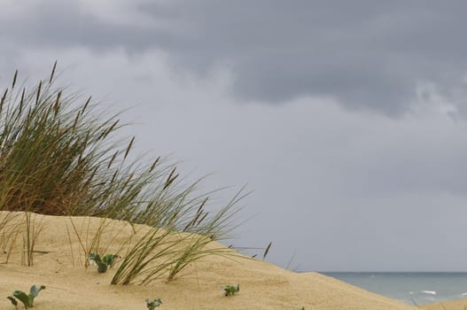 Sand dune with some grass during a cloudy day and a sad weather