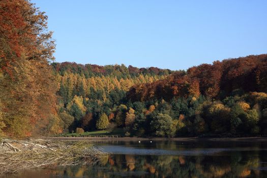 view of lake twistesee in autumn, germany