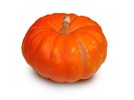 foto of orange bright color pumpkin