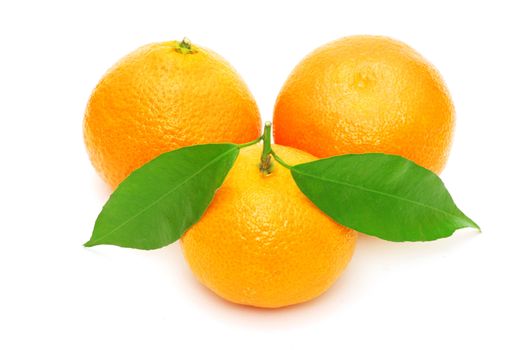  tangerine isolated on a white background