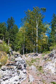 A little wood on the top a mountain