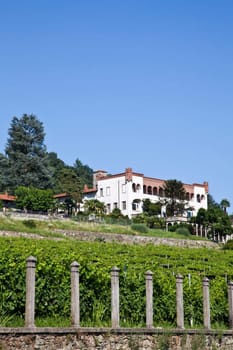 Tuscany, Italy. Italian luxury villa in the country, close to a Lambrusco vineyard