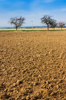 Landscape of fallow fields with two trees and a beautiful sky