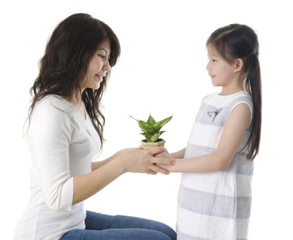 Asian mother and daughter taking care of plant