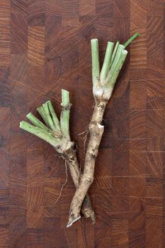 Two roots of horse radish