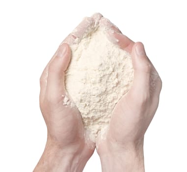 Hands holding white wheat flour