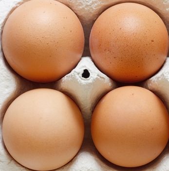 Eggs in an egg carton