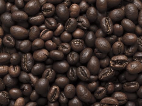 close up of peabody coffee beans