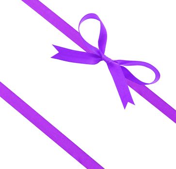 Purple  christmas ribbon and bow