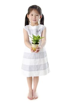 Concept of little girl holding a plant on white background