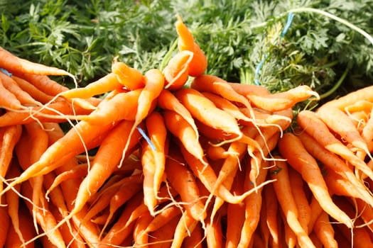 Orange carrots in a horizontal composition