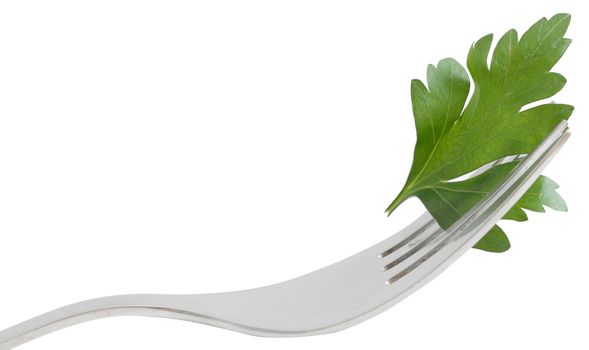 Parsley isolated on a white bg