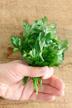 Parsley on a wooden surface