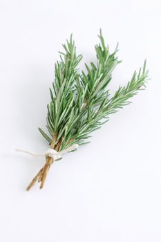 Fragrant rosemary herbs isolated on white