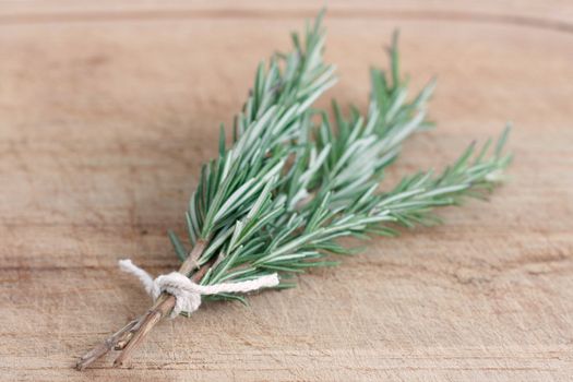 Fragrant rosemary herbs isolated on white