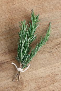 Fragrant rosemary herbs isolated on white