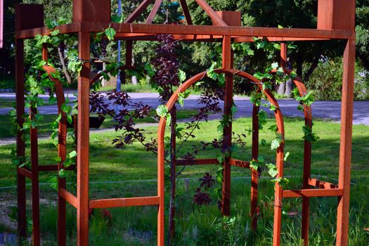 green garden with wrought iron arbor