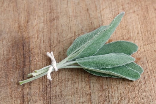 Sage on a wooden background