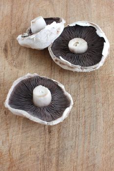 A big flat mushroom on a wooden surface