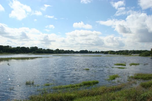 Flooded river floodplain of the Elbe in Saxony-Anhalt / Germany